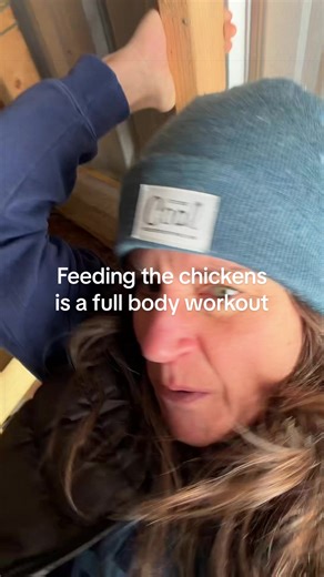 I was out of town for about 36 hours. This is the process, after collecting the eggs, of restocking the food and giving them a fresh snack. #backyardchickens #chickencoop #talktoanimals