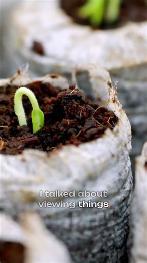 How changing your perspective can unlock your personal growth.