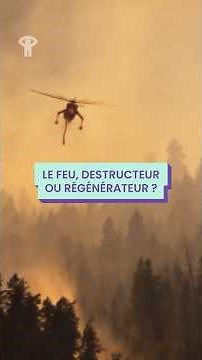 Le feu : destructeur ou régénérateur? | Incandescence 🔥 #onf