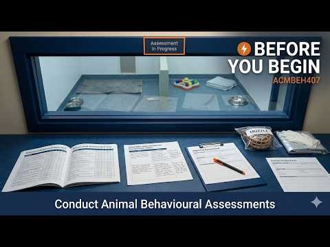 ACMBEH407 Conduct Animal Behavioural Assessments | Before You Begin | VET Animal Behaviour Training