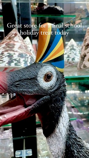 A range of pterosaurs on sale at Collectors Corner Braeside Melbourne Australia 🇦🇺 These 30cm sized specimens are for sale now #dinosaurs #dinosaur #dino #dinosaurio #pterosaur #pterosaurs #dinos #dinossauro #dinosaure #dinossaurobaby #dinosaurios #dinosaurpark #dinosaurtoy #dinosaurtoys #prehistory #prehistoric #prehistoricplanet #prehistorickingdom | Collectors Corner Garden World.