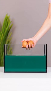 160K views · 299 reactions | Amazing things made of paraffin, plaster, and alginate  | 5-Minute Crafts | Facebook