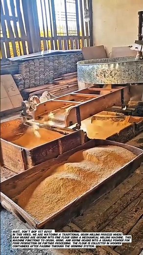 Traditional Grain Milling Process into Flour | Industrial Education.