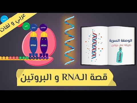 RNA and Protein Synthesis (Overview) | Molecular Biology | 3rd Secondary Biology