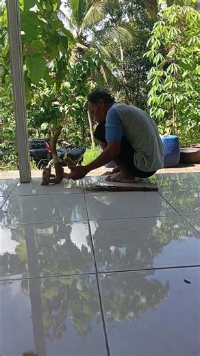 #viral#mystery#horror#sacred caretaker of the Jedil stone