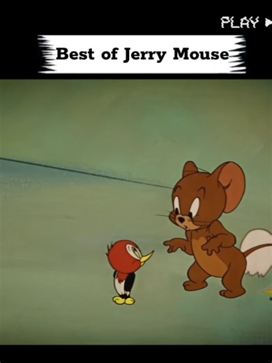 Tom and Jerry | Best of Jerry Mouse Funny Moments Compilation #TomAndJerry #Tom #Jerry #TomJerry #ClassicCartoons