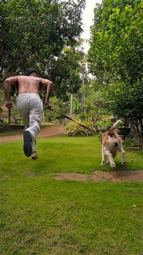 Running With beagle 🐾 #Run #Beagle