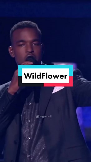 Wildflower - Luke James (Skylark) Video Lyrics