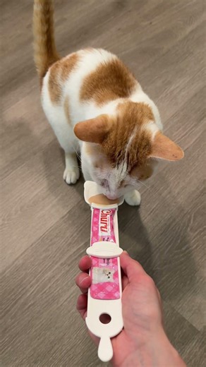 This cat treat dispenser is a must-have! #amazon #amazonfinds