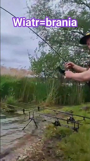wiatr = brania ryb w jaki sposób zobacz sam ‪@KarpiowyDabek‬ #łowieniekarpia #carpfishing #carp