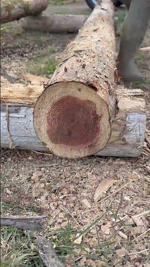 How to make a raised flower bed (Hugelkultur) using your ECHO chainsaw.