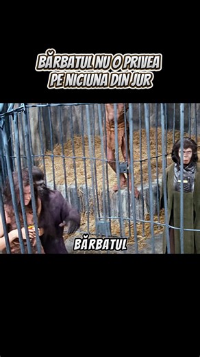 O Poveste Uimitoare cu Maimuțe și Oameni