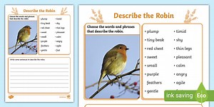 Describe the Robin Writing Worksheet