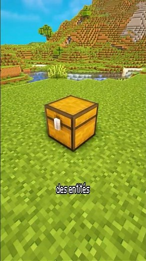 Minecraft Chests Are Useless! (Secret) #Shorts #Minecraft #Tutorial