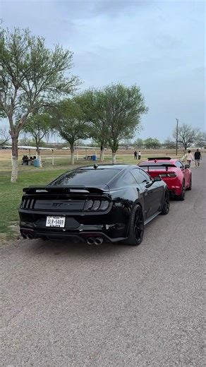 Exploring the 2019 Mustang S550 Coyote V8