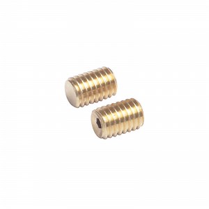 [Hot Item] Custom Copper Screw Allen Screw Torx Screws Security Screws