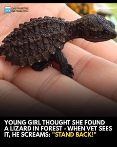 18K views · 33 reactions | A little girl believed she’d spotted a tiny lizard in the woods — but when the vet saw it, he was stunned…﫢(Check In First comment) | Past & Present | Facebook