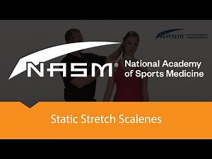 Static Stretch Scalenes