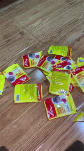 Effective Rodent Control with Mouse Bait Strategies