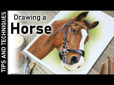 DRAWING A HORSE IN PASTELS | PASTEL TIPS