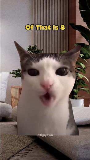 CAT MEME: Brain is Confused, my Math and Math