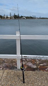 Fishing 🎣🦞🐡🐠🐟. Lesson. 🤳📱🤠🛣️🚙🧴 | Mike’s Road Trip Adventure