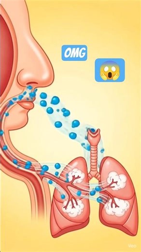 respiratory system #education #scienceexperiment #trendingshorts