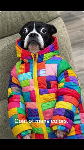 Coat of Many Colors: A Tale of Pride and Love