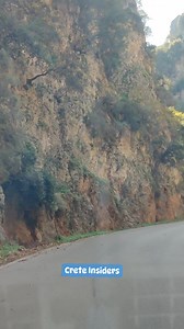 Driving through Theriso Gorge today, perfect weather 🔆😊🦌🐑✨💙 | Crete Insiders