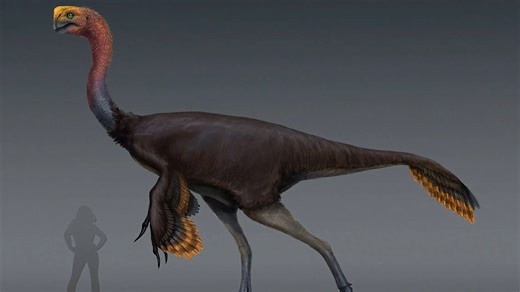 Was Gigantoraptor really a giant thief of Mongolia?