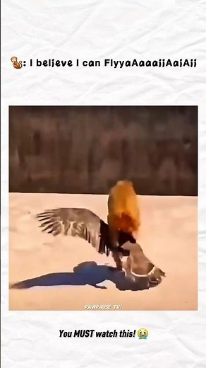 I Believe I Can Fly... or Not! 😭 #shorts #funny