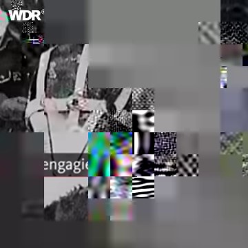 Elefanten, die aus der (Schwebe-)bahn springen - das gibt's nur in Wuppertal! | Heimatflimmern