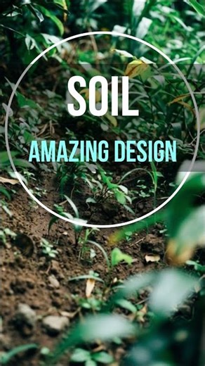 Beneath the Forecast