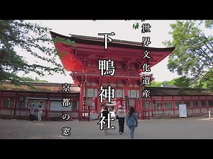 京都散策【世界遺産 下鴨神社】Shimogamo Shrine／Walking in Kyoto,Japan