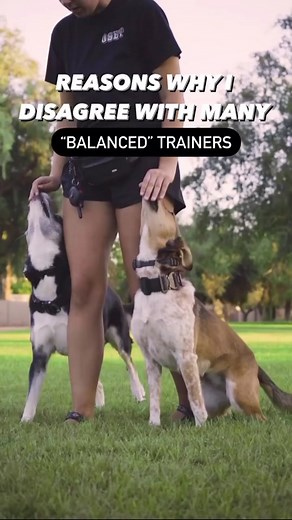 Some hot 🌶️ takes about balanced training from someone who uses tools, R training techniques & balanced training techniques. First clip by @guidoo.media #balancedtraining #forcefree #positivereinforcement #dogtraining #dogtrainers #dogsofinstagram