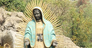 ¿Por qué celebramos a la Virgen de Guadalupe? Esta es la historia de la morenita