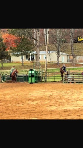 The Ryleigh Parker (@ryleighparker29)’s videos with original sound - Riley