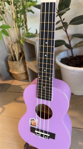 ឈុត Ukulele 23 inch 30$ ចុះនៅ25$ 🛍️✨ #fyp #guitar