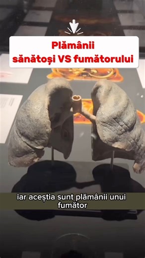Plămânii sănătoși VS fumătorului | Roman Panish