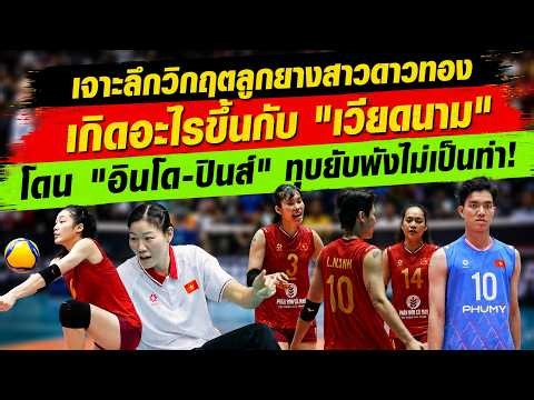 Deep dive into the crisis of the Golden Star volleyball team: What happened to #Vietnam after the...