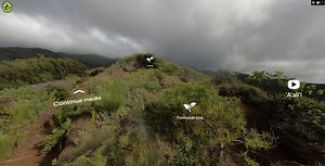Virtual field trip brings the world of Hawai‘i forest birds into classrooms | Maui Now
