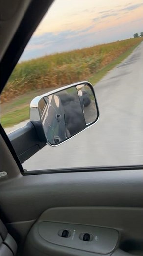 Smarty Jr Tuned 3rd Gen Cummins #cummins #tunedcummins #diesel #3rdgen #3rdgencummins