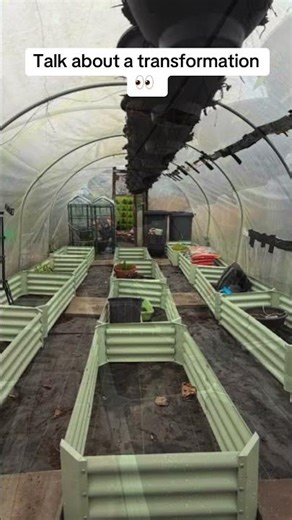 Polytunnel Gardening | Incredible Allotment Transformation & New Growing Beds