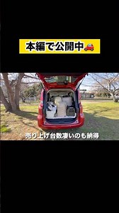 新型シエンタで−3℃車中泊キャンプ🏕️ #新型シエンタ #車中泊#キャンプ犬
