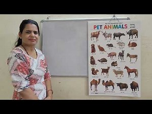 Learn pet animals name with animals chart