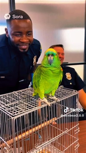 April Rose Moore on Reels