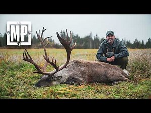 Finland Forest Reindeer | Mark V. Peterson Hunting