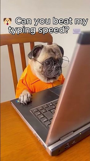 🐶 Can you beat my typing speed? ⌨️ TypeFastPro.com