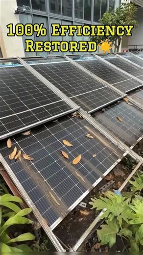 💡Solar Plant Gadget Automated Wiper Glass Sprinkler 📉Cleaning Facts 💧Dust Wash #shorts #engineering