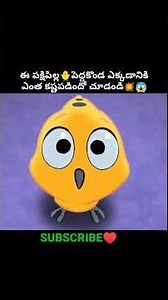 ఈ పక్షిపిల్ల🐥ధైర్యానికి ఎవరైనా మెచ్చుకోవాల్సిందే💥😱||Movies Explained In Telugu||#Shorts #viral #yt